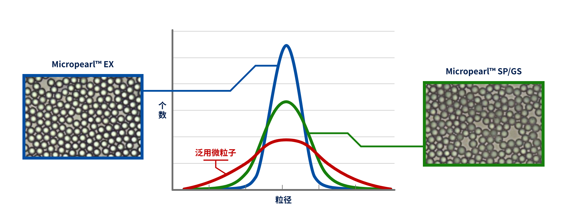 粒子徑