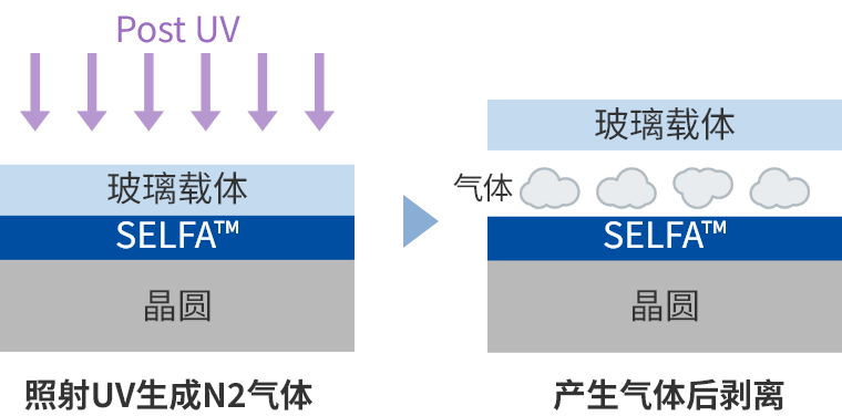 UV自動剝離